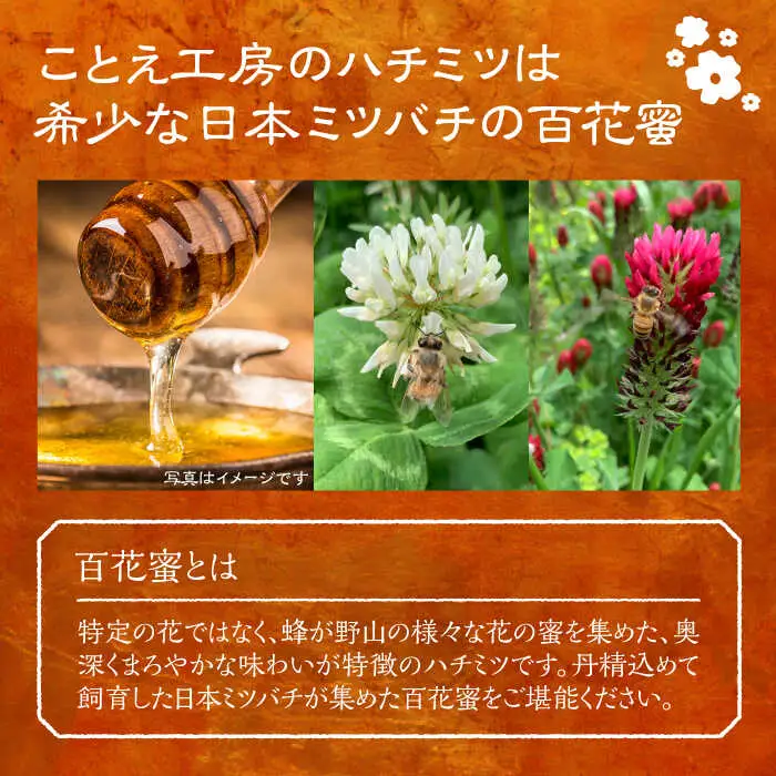 日本ミツバチの蜂蜜 150g×2本 ギフトセット VCM001 はちみつ