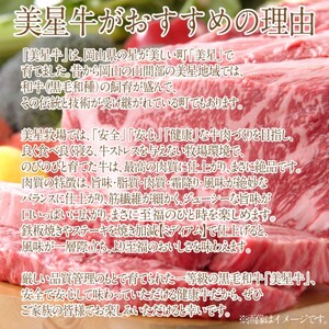 黒毛和牛 サーロインステーキ 約400g （約200g×2パック） 黒毛和牛