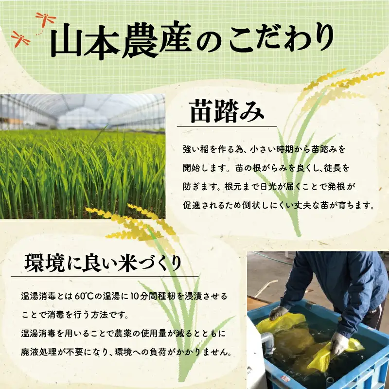 三重県産 山本農産のお米（コシヒカリ）の定期便 5kg×3回 yn15