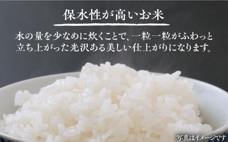【全3回定期便】令和8年産 天狗米 夢つくし 10kg VCX010 お米 白米 定期便