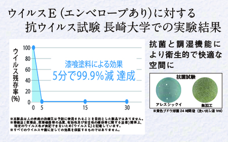 ウイルスを増やさない！自然素材から生まれた漆喰塗料「アレスシックイ」塗料＋塗装道具セット