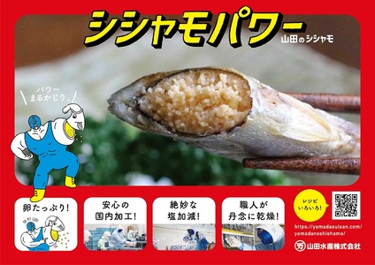 A1-1807／冷凍 子持ち からふとししゃも シシャモパワー　1.2kg（120g×10パック）