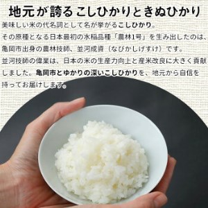 米 コシヒカリ・きぬひかり 食べ比べ 10kg 精米 白米