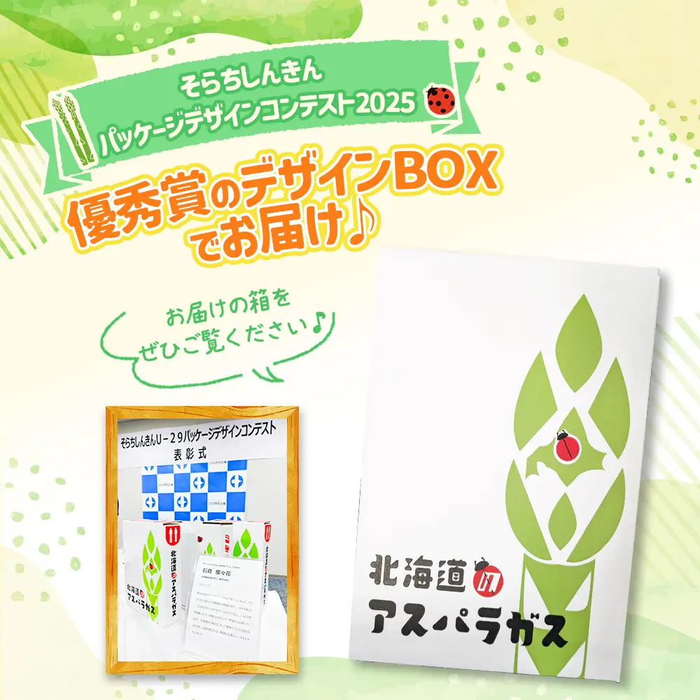 【先行受付】のみやまファームのグリーンアスパラガス（Ｍ～２L以上）1kg【05004】