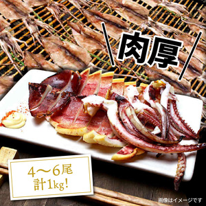 絶品！肉厚烏賊の一夜干し1kg/ いか イカ 烏賊 するめイカ 一夜干し 肴 つまみ おかず 海鮮_2366R