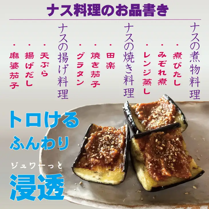 【先行予約】小城市産 筑陽ナス 3kg 朝採れ 新鮮 ハウス栽培 茄子 A080-041