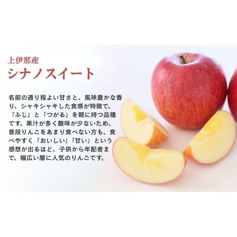 りんご 長野 贈答用 リンゴ シナノスイート 約3kg （12玉） 産地直送 ギフト プレゼント 贈答 贈答品 贈り物 フルーツ 果物 デザート 林檎 秋 旬 信州 長野県 長野県産
