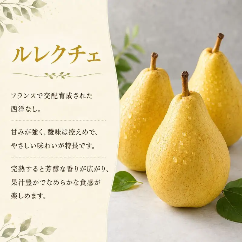 洋梨 長野 贈答用 ル・レクチェ 約5kg （12～18玉） 西洋なし 産地直送 ギフト プレゼント 贈答 贈答品 贈り物 蜜 フルーツ 果物 デザート おやつ 洋ナシ 秋 旬 長野県