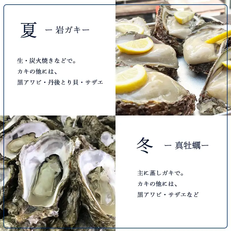 京都 舞鶴湾 かき小屋 美味星 お食事チケット 5000円分