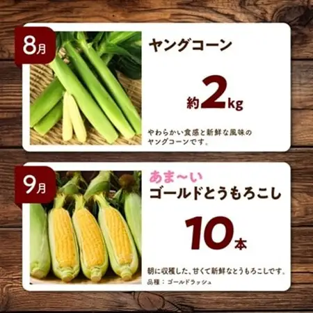 【発送月固定定期便】直送!【北海道を満喫便】十勝ガールズ農場の野菜セレクション全5回_野菜 とうもろこし  トウモロコシ  野菜 アスパラガス    野菜 じゃがいも いも ジャガイモ 馬鈴薯  野菜 さつまいも いも サツマイモ 薩摩芋  定期便 定期便  _【配送不可地域：離島】【4012918】