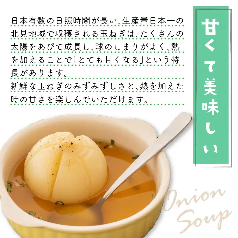 【隔月2回(12月・2月)定期便】JAきたみらいから直送する新鮮玉ねぎ 10kg Lサイズ以上 ( 野菜 定期便 玉葱 たまねぎ 期間限定 )【999-0148-2026】
