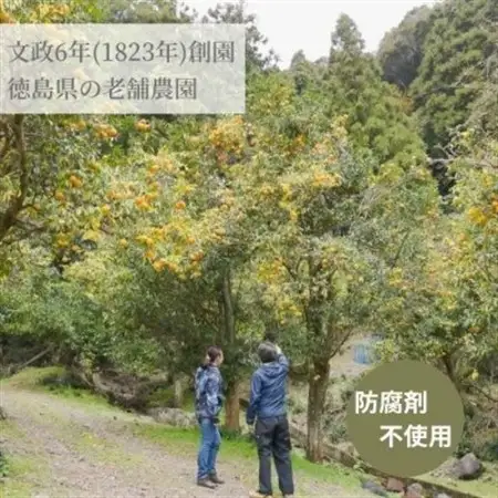 徳島特産のゆこうで作ったシロップとすだち・ゆずの果汁セット_果物・フルーツ  柑橘 _【1209857】