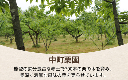 【先行予約】中町栗園 の 能登栗 3kg