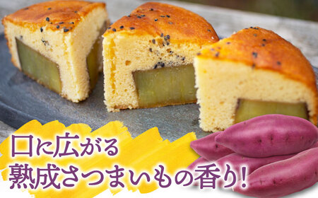さつまいものバターケーキ ケーキ[XAD013]