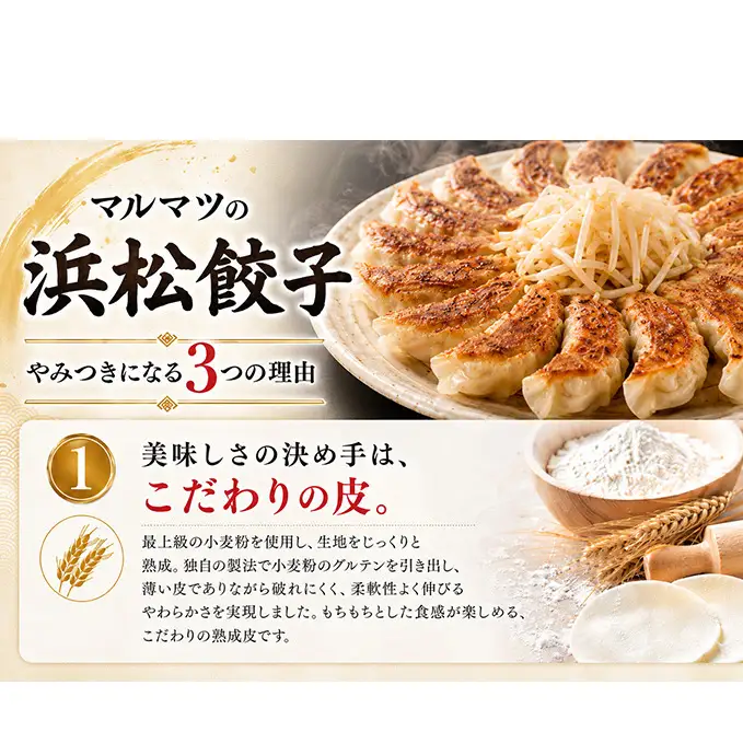餃子 浜松餃子 120粒 定番の味 30粒×4袋 餃子