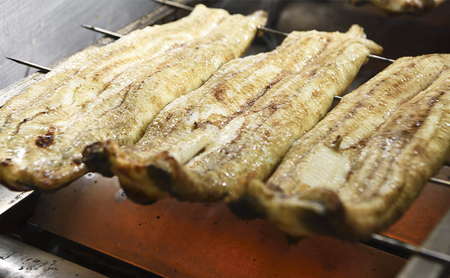 国産手焼きうなぎ白焼き 大サイズ 2本入り 155g以上×2尾 計310g以上 静岡 浜松市 