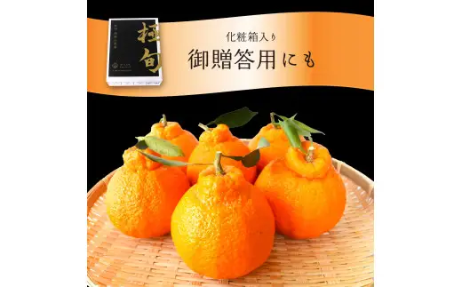 【贈答用化粧箱入】 不知火 樹上完熟 約2kg （5～8個入）※2027年2月下旬頃から3月下旬頃に順次発送【KG10】【kgr014】