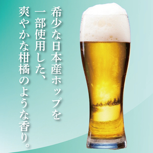 キリンビール取手工場産 スプリングバレージャパンエール〈香〉500ml缶×24本|KIRIN 麒麟 ビール クラフトビール SPRING VALLEY BREWERY 茨城県 取手市（AB017-2）