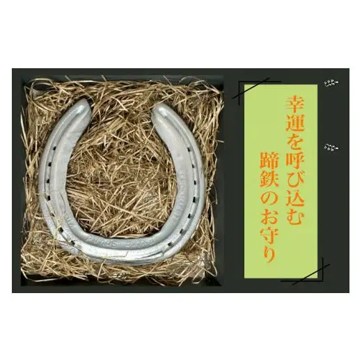 FUCHU　LUCKY　HORSESHOE（蹄鉄）