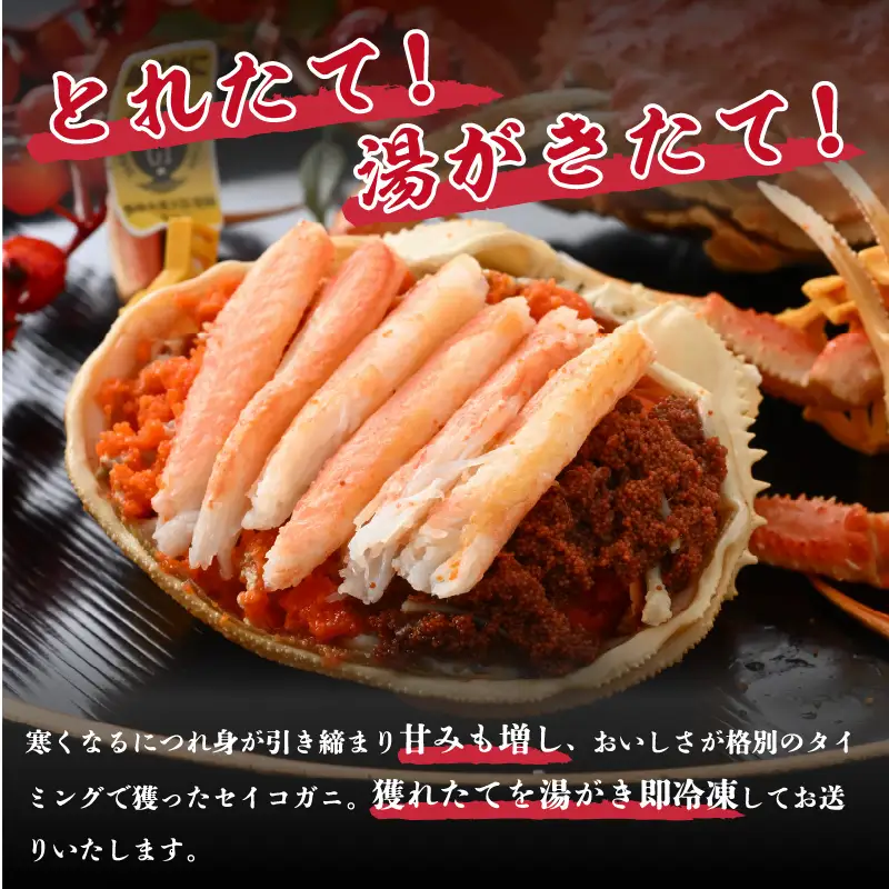 【訳あり】【数量限定！】 全て地物！ 天然！ セイコガニ中（140g～）3杯セット（冷凍）食べ方説明書付き  [m21-a041]