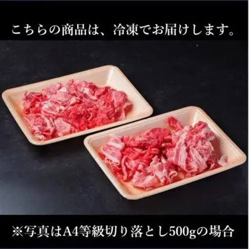 飛騨牛 厳選切り落とし 800g(400g×2)　A4～A5等級　黒毛和牛　小分け_肉 飛騨牛 牛肉 うし ビーフ_【配送不可地域：離島】【1484849】