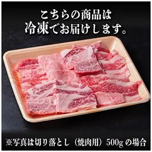 飛騨牛　厳選切り落とし(焼肉・BBQ用)　1kg(500g×2)　訳あり　黒毛和牛　小分け_肉 飛騨牛 牛肉 うし ビーフ_【配送不可地域：離島】【1487351】