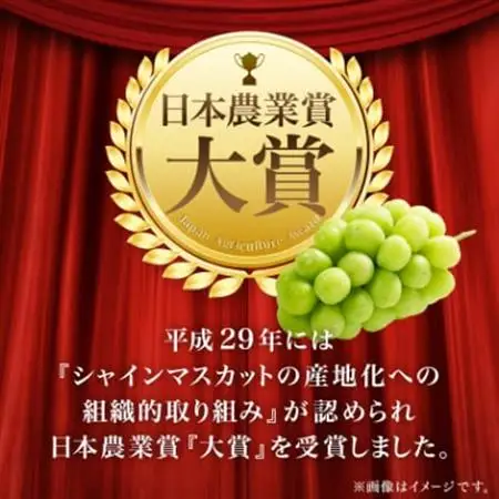 2026年先行予約　9月上旬～10月下旬発送JA中野市大粒 大房シャインマスカット2房1.3kg以上【配送不可地域：離島】【1459211】