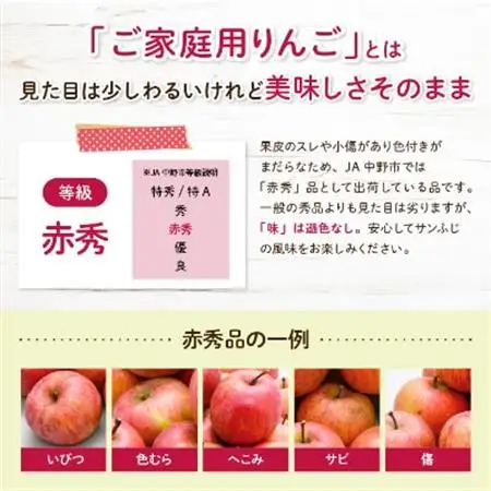 【先行受付】JA中野市「サンふじ」 ご家庭用 訳あり 10kg以上(28～40玉入り)【1481013】