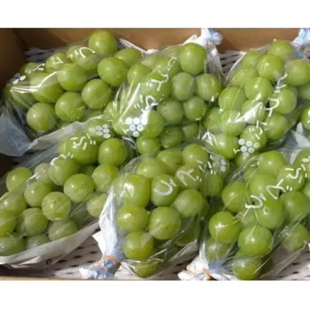 長野県中野市産ぶどう・シャインマスカット秀品4kg箱 6～9房入り【配送不可地域：離島】【1494262】