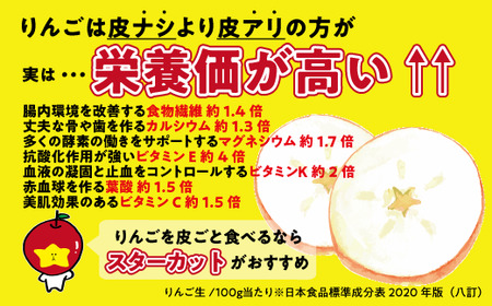 りんご シナノスイート 秀 10kg 令和8年度収穫分 2026年10月上旬頃から2026年10月中旬頃まで順次発送予定 宮本ファーム エコファーマー 減農薬栽培 長野県 飯綱町 [1790]