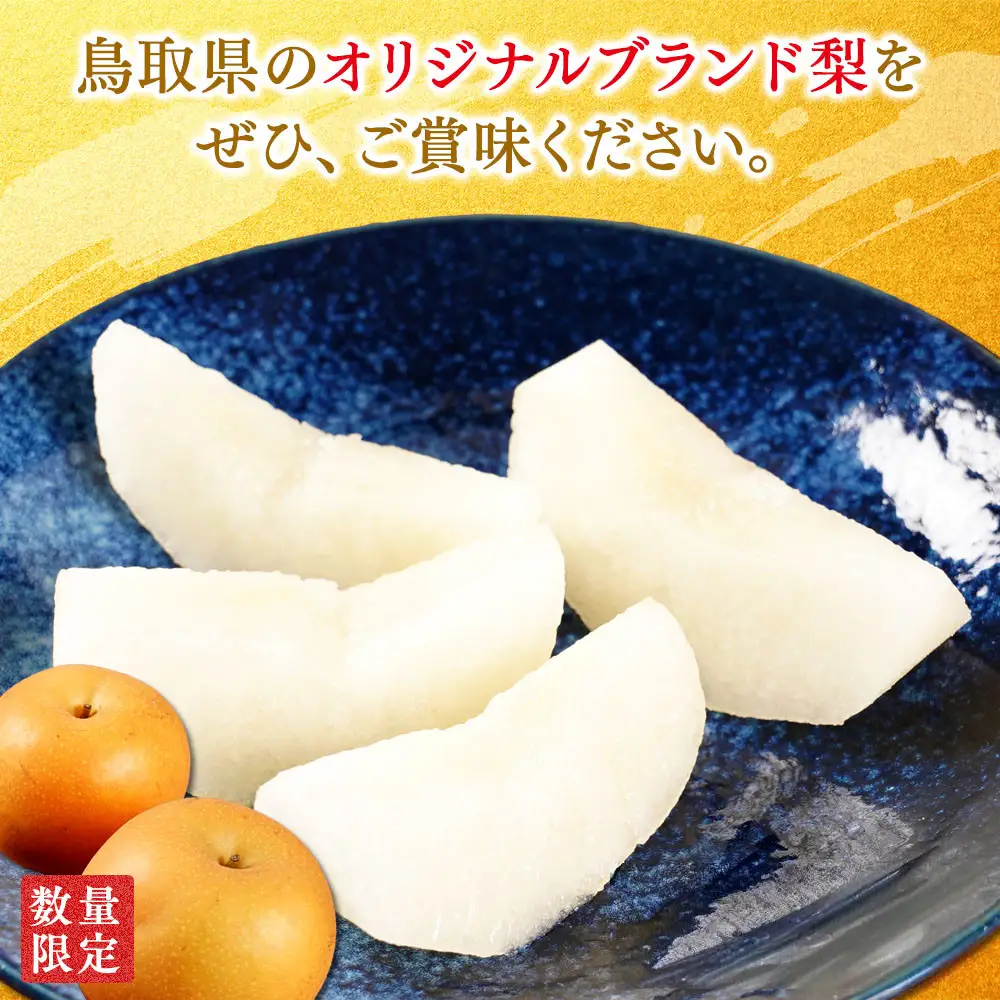 梨 新甘泉梨 5kg ( 5kg × 1箱 )