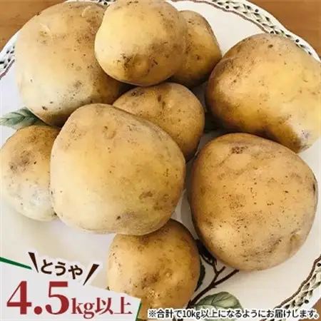  じゃがいも2種+ながいも 計10kgセット　北海道十勝帯広産_野菜 じゃがいも いも ジャガイモ 馬鈴薯  野菜  いも イモ 芋_【配送不可地域：離島】【1497187】