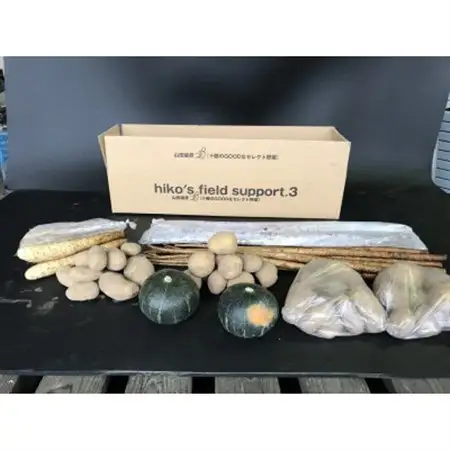 冬の味覚 野菜4種セット B 計10.4kg 北海道十勝帯広産_野菜 じゃがいも いも ジャガイモ 馬鈴薯  野菜  根菜   野菜 かぼちゃ  カボチャ 南瓜_【配送不可地域：離島】【1497191】