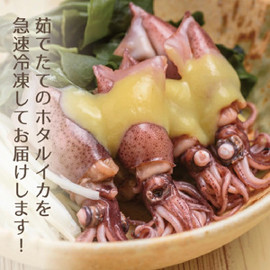 日本海産 ボイル ホタルイカ 計500g（250g×2P）【冷凍】【ほたるいか 蛍烏賊 いか イカ 烏賊 海鮮 小分け グルメ おつまみ 肴】 [e04-a109]