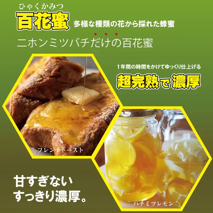 はちみつ 日本蜜蜂 百花蜜 500g はちみつ 国産 B120-080