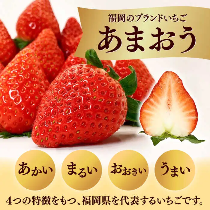 【2027年度先行予約】あまおうLサイズ 約320g×2P [ADAT003] あまおう