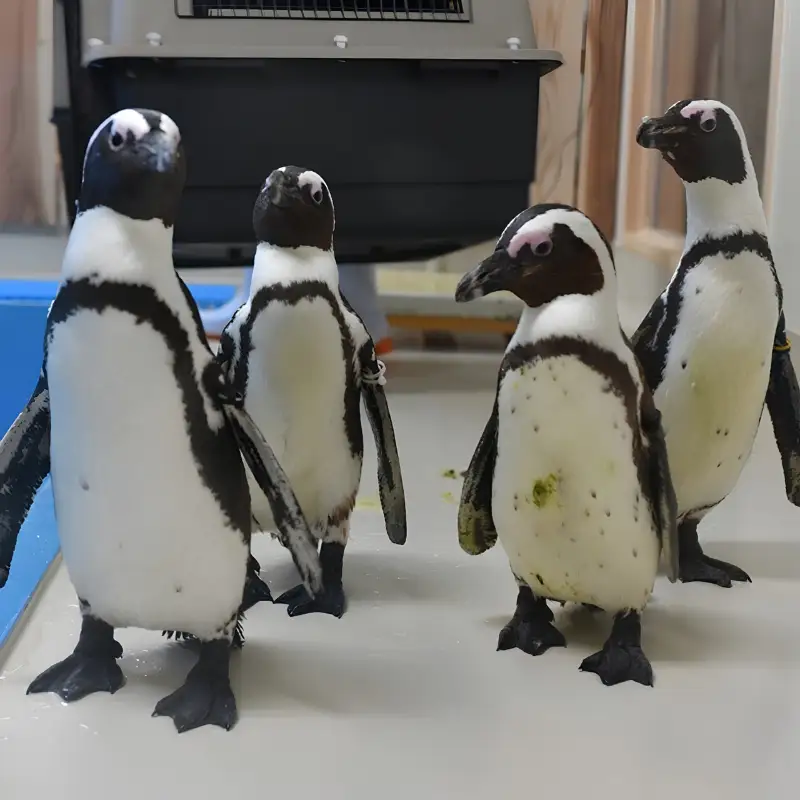 ＼たくさんの生物と触れ合える♪／　エビとカニの水族館 ４名様チケット　【ebk003】
