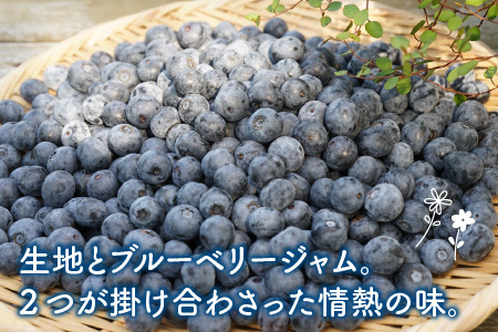 Cafe Seasonsのフレッシュなブルーベリーと自家製ブルーベリージャムを包み込んだグルテンフリーブルーベリーマフィン 9個【配送不可地域：北海道・沖縄・離島】 小浜市 / Cafe Seasons [BFCC008] 