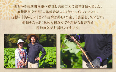 ZS-997 鹿児島県産 土付きごぼう 約2kg【2026年12月上旬-2027年3月下旬迄順次発送予定】