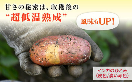 糸島育ちのジャガイモ 2種食べ比べ インカのめざめ インカのひとみ 各1kg・計2kg  糸島市 / 糸島ボンテール農園 [ACO012]