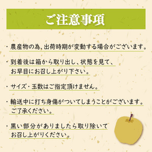 9月中旬より順次発送予定！【長野県高森町】青梨の銘品!! 二十世紀梨 5kg