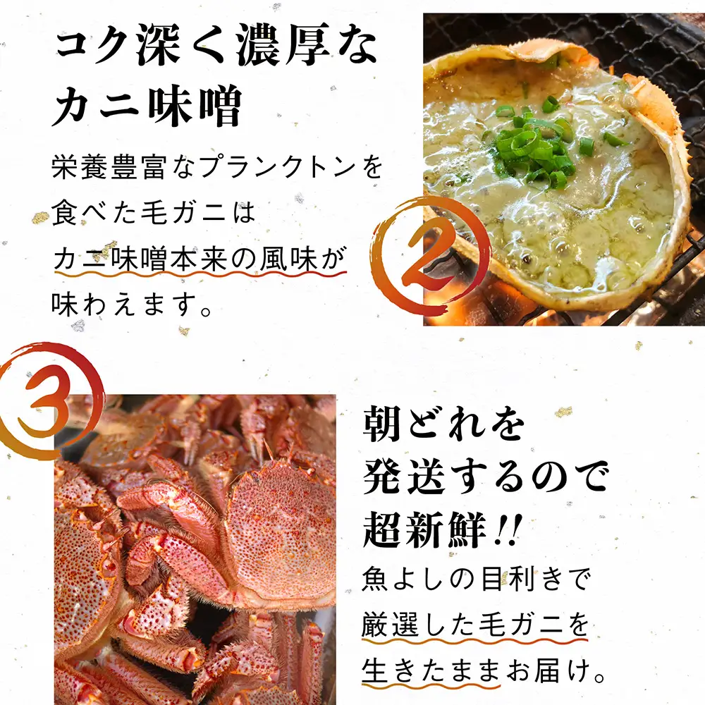 【令和9年発送】【訳あり】三陸産 活毛ガニ 1kg(3～4杯)【08】【2027年2月～4月発送】先行予約｜訳ありカニ 国産 冷蔵 三陸 濃厚 かに 蟹 カニ 毛ガニ 毛蟹 毛がに けがに 天然【配送日指定不可】