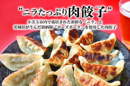 【数量限定】 ニラたっぷり肉餃子・しそたっぷり肉餃子 各1袋 ニラたっぷり肉餃子30個 しそたっぷり肉餃子30個 ぎょうざ ギョウザ 餃子 ニラ にら しそ シソ ローズポーク 豚肉 小美玉産 茨城県産 名産 冷凍 17-AP