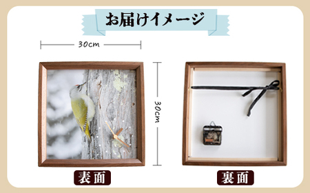 おしゃれ 掛け時計 野鳥時計【ヤマゲラ】【G15107】