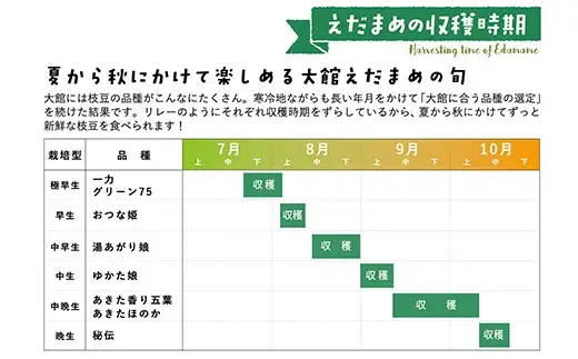 秋田県大館市産「旬の枝豆」2kg 60P3208-oi3【 アグリ川田】【ふるさと納税3.0】