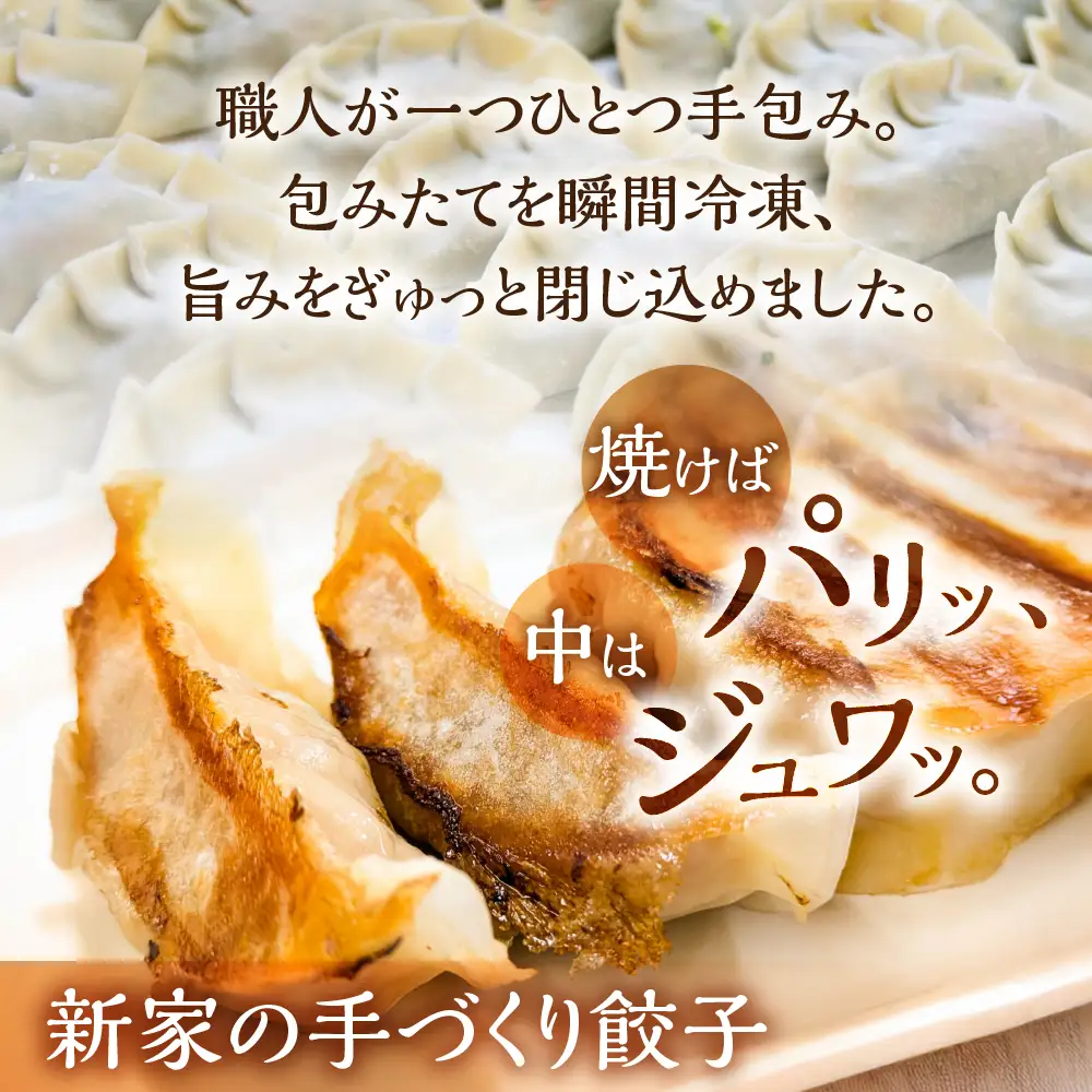 専門店のぎょうざとしゅうまいセット 餃子20個 しゅうまい15個 