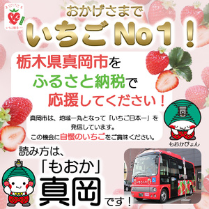 栃木のこでらんない冷凍イチゴ（とちあいか）約2kg 