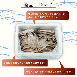 【 訳あり】 アジ 干物 約2kg 規格外 不揃い アジ