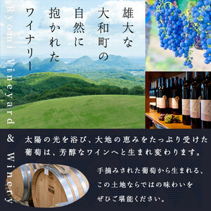 了美ワイン 人気赤ワイン1本(750ml) 赤ワイン ゼフィールルージュ アルコール お酒 マリアージュ ワイナリー直送 みらいファームやまと 【了美ワイナリー】ta424