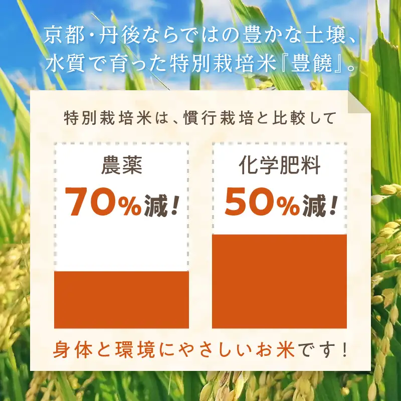 【6回定期便】【特別栽培米】コシヒカリ『豊饒』 5kg （真空パック）（2026年10月上旬～発送） 久美浜 国産 産地直送 お米 白米 丹後コシヒカリ おにぎり お弁当 京都産 京丹後 こしひかり ふるさと納税 コシヒカリ 精米 こしひかり 米 生産者応援 農家応援